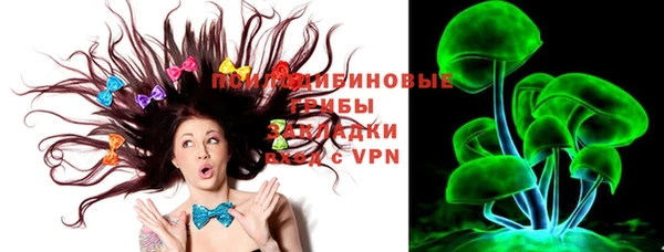 марки lsd Инта