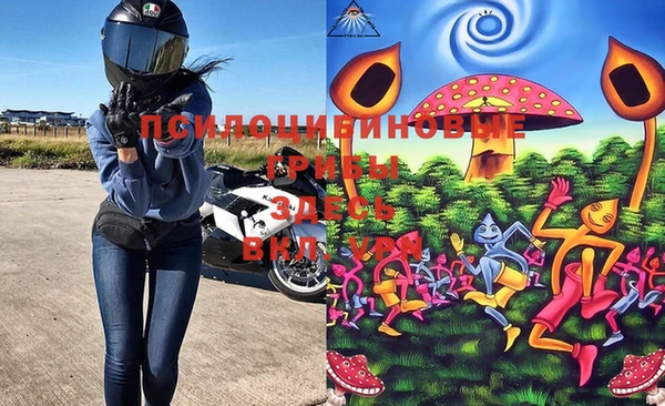 марки lsd Инта
