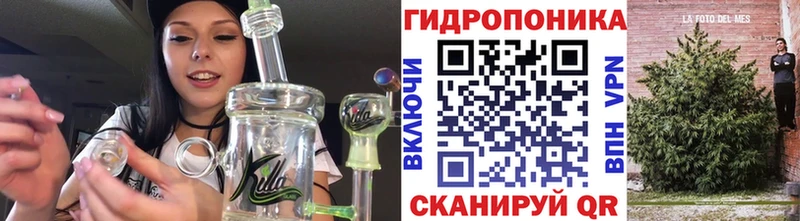 Бошки марихуана Amnesia  Купить закладки  Данков 